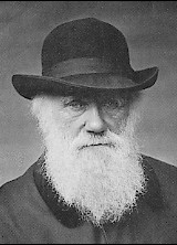 A letter to the late Mr. Charles Darwin from a perplexed visitor to the planet earth...