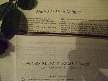 Mucho ruido, pocas nueces: "Much ado about nothing" en el Teatro San Martín